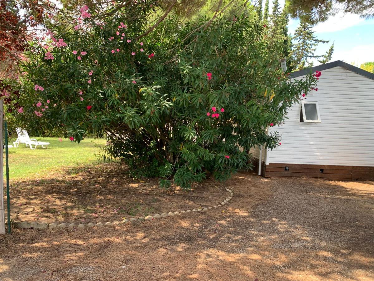 Holiday home Mobil + Dependance Dans Jolie Parc Prive